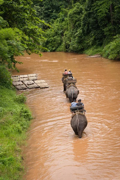 Mahout riding with Tourists on elephants walking across the river trekking wild adventures in the natural forest at Mae Taeng Elephant Camp, Chiang Mai, Northern Thailand.