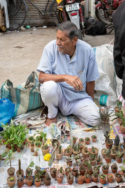 インドの正体不明の老人が2021年12月にインドのコルカタのガリフ ストリートペット市場で保育園を販売していました — ストック写真