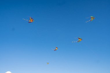 Mavi gökyüzünde uçan renkli uçurtmalar