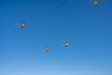 Mavi gökyüzünde uçan renkli uçurtmalar