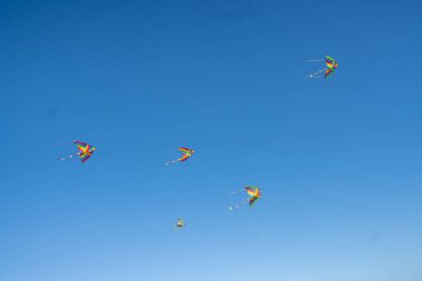 Mavi gökyüzünde uçan renkli uçurtmalar