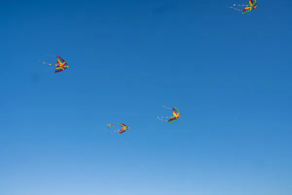 Kleurrijke Vliegers Vliegen Blauwe Lucht — Stockfoto