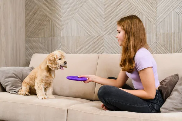 少女坐在客厅的沙发上和狗玩 — 图库照片
