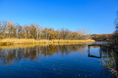 Sonbahar nehrinin güzel bir manzarası. Sazlıklar ve ağaçlarla dolu bir nehir kıyısında. Balıkçılık platformu.