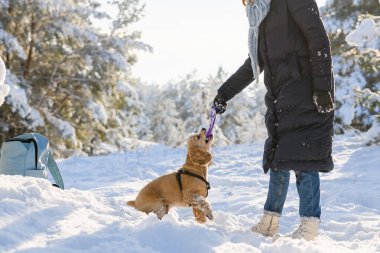 A young woman plays with her dog in the winter forest.