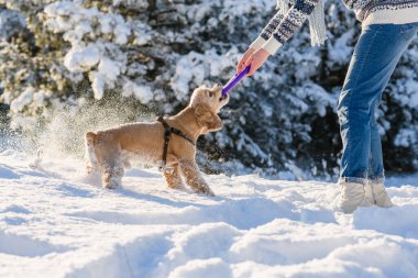 A young woman plays with her dog in the winter forest.