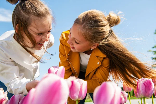 Two Teenager Girls Bend Blooming Pink White Tulip Flowers Blue — Stockfoto