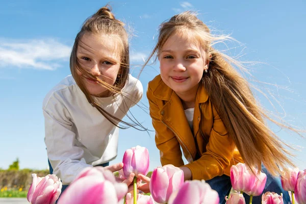 Två Tonårstjejer Böjer Sig Över Blommande Rosa Och Vita Tulpanblommor — Stockfoto