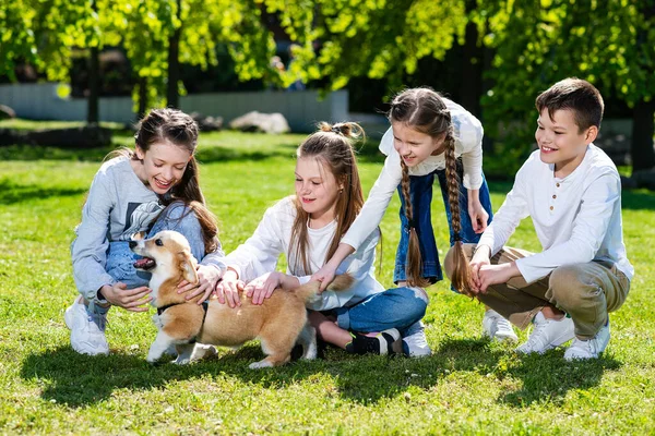Crianças Acariciar Cão Crianças Adolescentes Brincam Com Filhote Cachorro Corgi — Fotografia de Stock