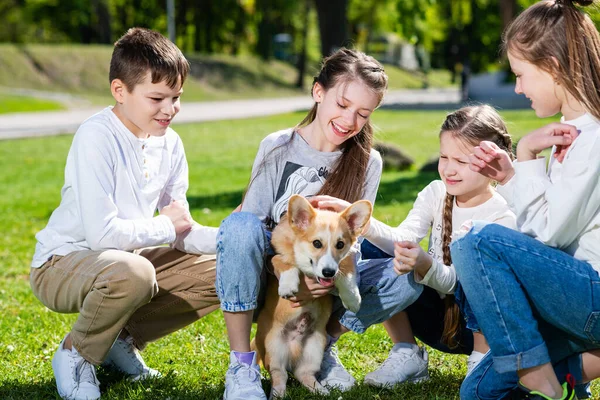 Crianças Adolescentes Brincam Com Filhote Cachorro Corgi Gramado Verde Dia — Fotografia de Stock