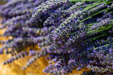 Bundles of fresh cut blooming lavender lies on a bale of hay. Top view.