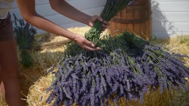 Woman Making Bouquet Cut Lavender Close — 图库视频影像