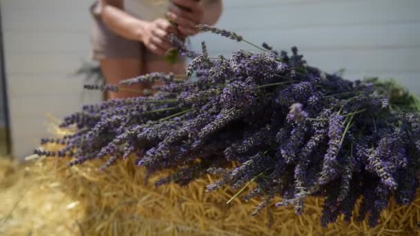 Неузнаваемые Женские Руки Флористки Создают Украшение Фиолетовыми Цветами Лаванды — стоковое видео