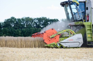 The grain harvester collects wheat on the field in Dnipro region, Ukraine. August 8, 2022