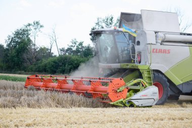 Combine harvester with the flag of ukraine harvests wheat on the field in Dnipro region, while Russia continues the war against Ukraine. August 8, 2022