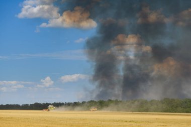 Combine harvester harvests ripe wheat. Smoke from a burning field rises into the sky in the background. War in Ukraine. Dnipro region, Ukraine - 8 Aug 2022