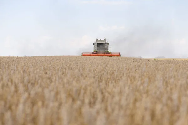 Field Ripe Wheat Combine Harvesters Grain Header Wide Chaff Spreader — Fotografia de Stock