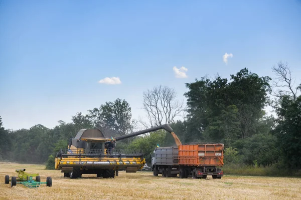 Combine Harvester Emptying Harvested Wheat Grain Truck Dnipro Region Ukraine — Stock fotografie