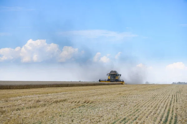 Harvesting Wheat Combine Harvester Field Ripe Wheat — Stockfoto