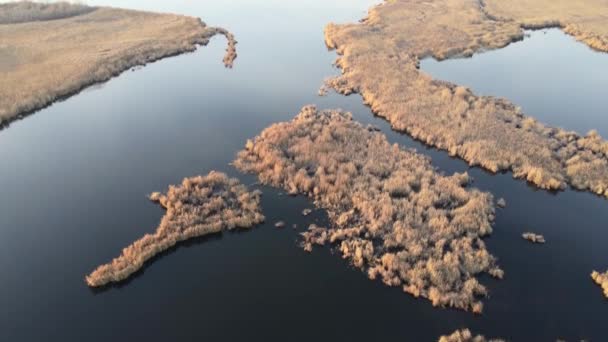 Aerial Shot Lake Water Surface Dry Reeds — Stock Video