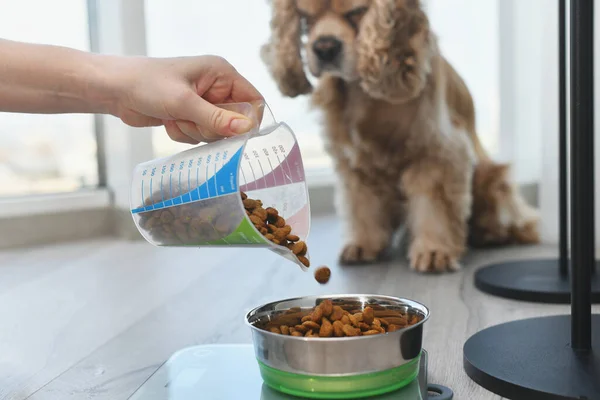 A woman measures a portion of dry dog food using an electronic scale. Girl fills up a portion of food for her dog.