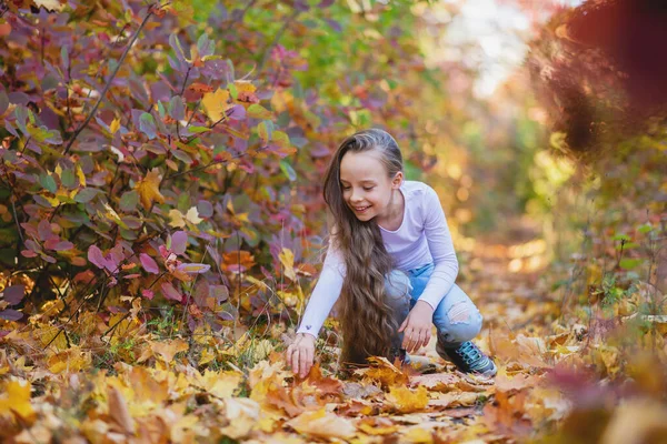 Flicka Plockar Upp Fallna Löv Parken Flickan Omgiven Röda Och — Stockfoto