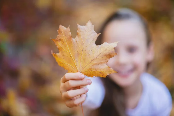 Vacker Liten Flicka Håller Ett Lönnlöv Framför Sig Fokusera Lövet — Stockfoto