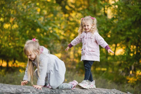 Dwoje Uroczych Dzieci Wspina Się Balans Upadłej Kłody Jesiennym Parku — Zdjęcie stockowe