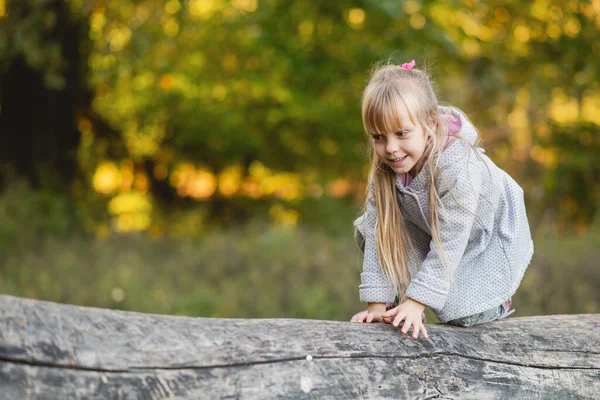 Söt Liten Flicka Alla Fyra Saldon Fallen Stock — Stockfoto