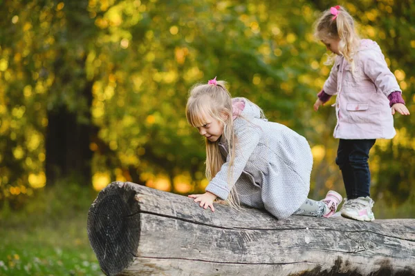 Två Söta Barn Klättrar Balanserar Fallen Stock Höstpark — Stockfoto