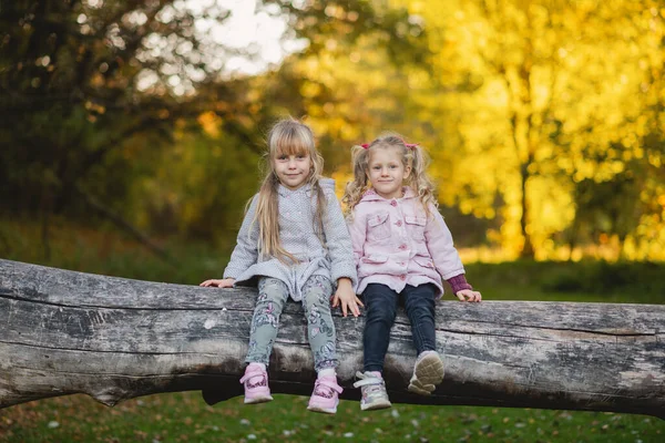 Dwa Słodkie Dziewczynki Siedzą Upadłej Kłody Jesiennym Lesie — Zdjęcie stockowe