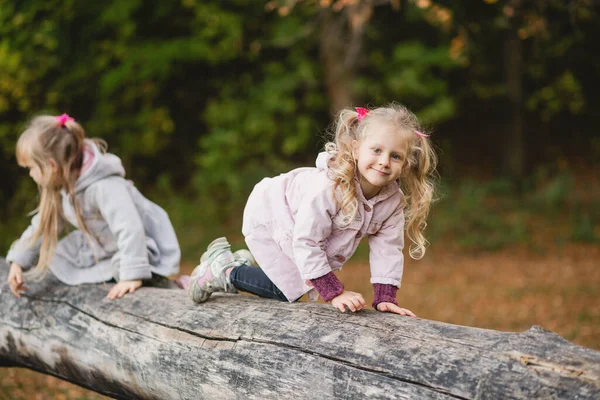 Två Söta Barn Alla Fyra Klättrar Balanserar Fallen Stock Höstpark — Stockfoto