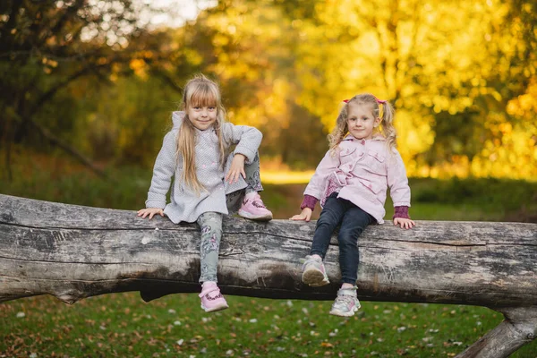 Duas Meninas Bonitos Criança Estão Sentados Tronco Caído Floresta Outono — Fotografia de Stock