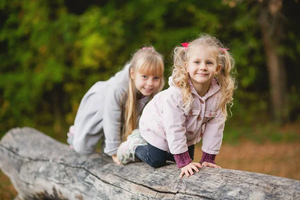 Två Söta Barn Alla Fyra Klättrar Balanserar Fallen Stock Höstpark — Stockfoto