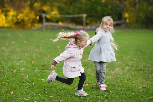 Två Barnflickor Leker Gräsmattan Höstparken Flickor Springer Och Snurrar Håller — Stockfoto