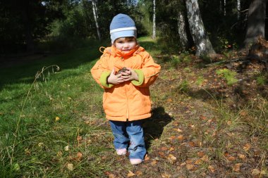 Turuncu ceket giyen küçük kız gider ve çam kozalakları taşır