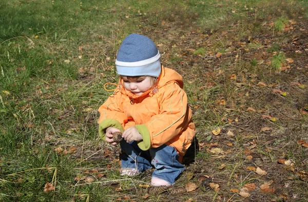 Niña usando chaqueta naranja se sienta y juega con conos de abeto —  Fotos de Stock