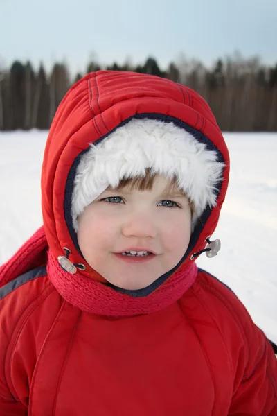 Felice bambina indossa vestiti caldi sorrisi vicino alla foresta ar wi — Foto Stock