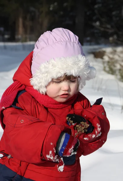 Маленькая красивая девочка в теплой одежде смотрит на сухой цветок — стоковое фото