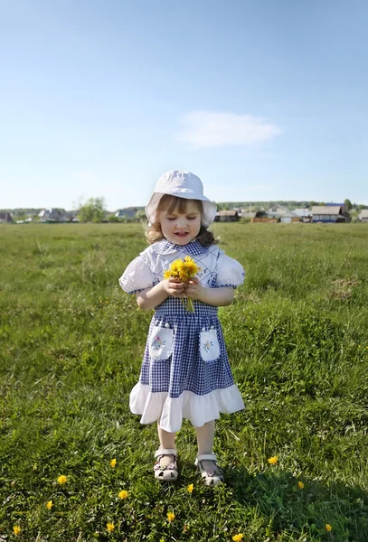 Happy little girl wearing dress holds yellow dandelions on green — Stock Photo, Image