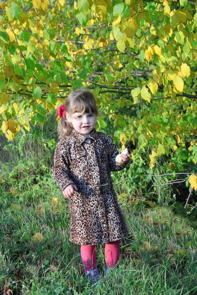 Beautiful little girl stands next to yellow trees in park at sun — Stock Photo, Image