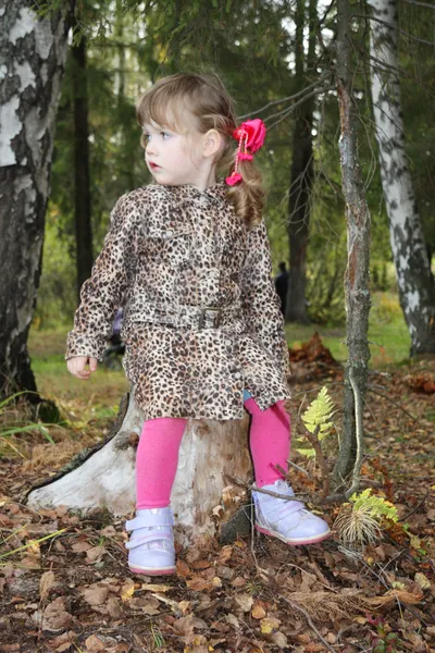 Pretty little girl with bows sits on tree stump and looks away i — Stock Photo, Image