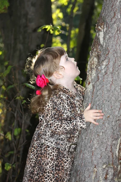 Vrij klein meisje met roze bogen in overjas houdt boom en loo — Stockfoto