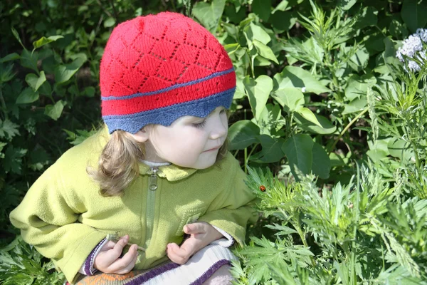 Little girl looking at ladybug on green leaf in sunny spring day — Stock Photo, Image