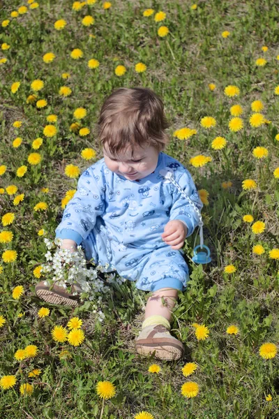 Happy baby holds flowers and sits on green meadow with yellow da — Stock Photo, Image