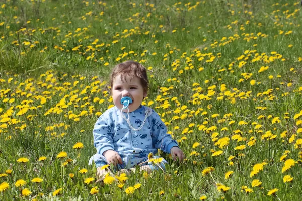 Bebê com chupeta senta-se no belo prado verde com amarelo da — Fotografia de Stock