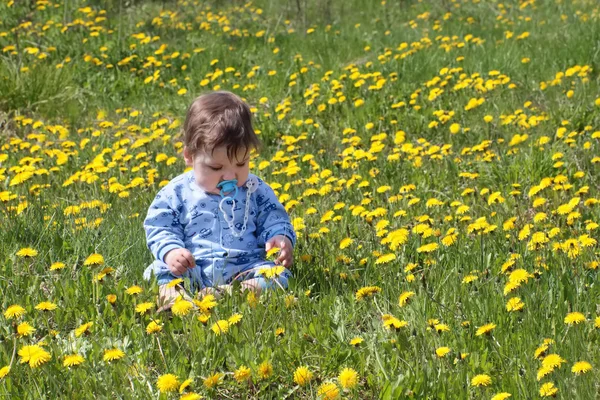 Baby in blue sits on beautiful green meadow with yellow dandelio — Stock Photo, Image