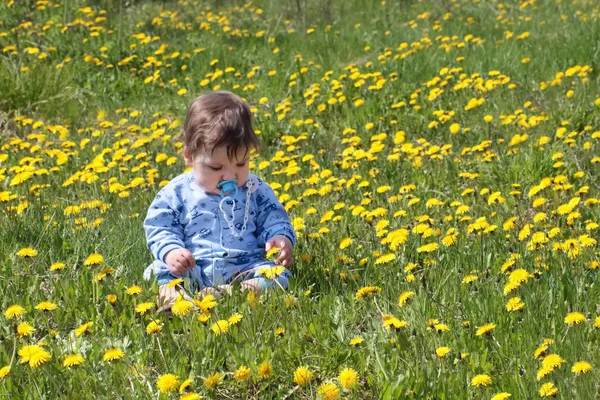 Bambino in blu siede su un bel prato verde con dandelio giallo — Foto Stock