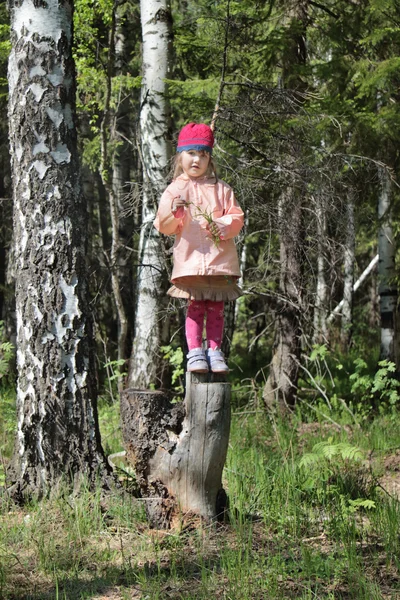 Schattig klein meisje in roze staat op big boomstronk in donker bos — Stockfoto