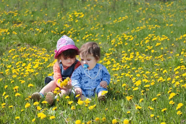 Little girl and baby with pacifier sit on green meadow with yell — Stock Photo, Image